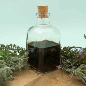 Foundations of Herbalism Class