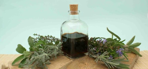 Foundations of Herbalism Class