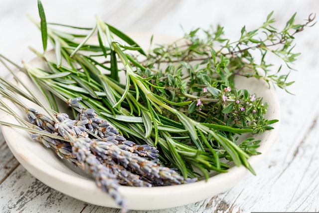 Blog 214 Exploring the Healing Power of Biblical Herbs