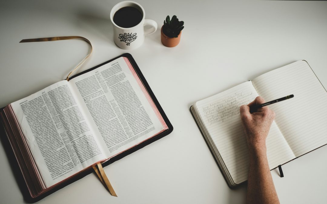 Blog 224 Making Scripture a Daily Habit