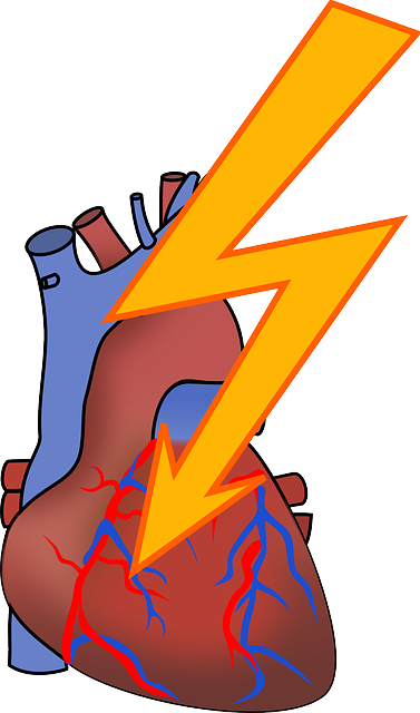 Blog 228 Signs of a Heart Attack that Everyone Should Know