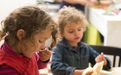Blog 237 How to Plan a Menu with Food that Children Love