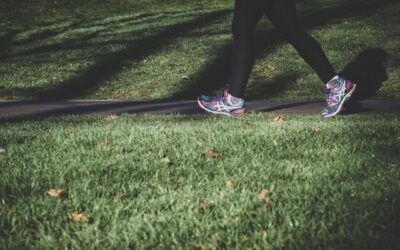 Blog 245 Tips to Make Your Daily Walk More Enjoyable