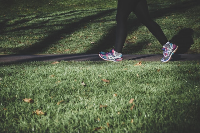 Blog 245 Tips to Make Your Daily Walk More Enjoyable