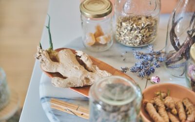 Blog 256 Herb Organization for Better Health