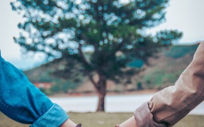 Blog 258 Partner Prep Tips for Stronger Preconception